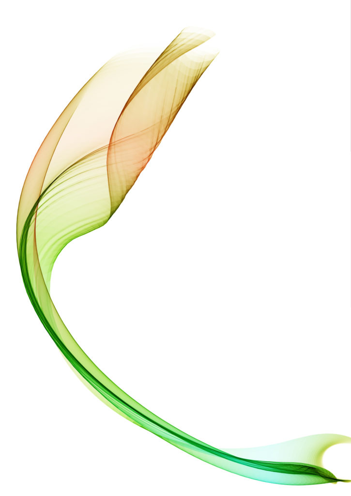 How Nature is Inspiring AI Algorithms